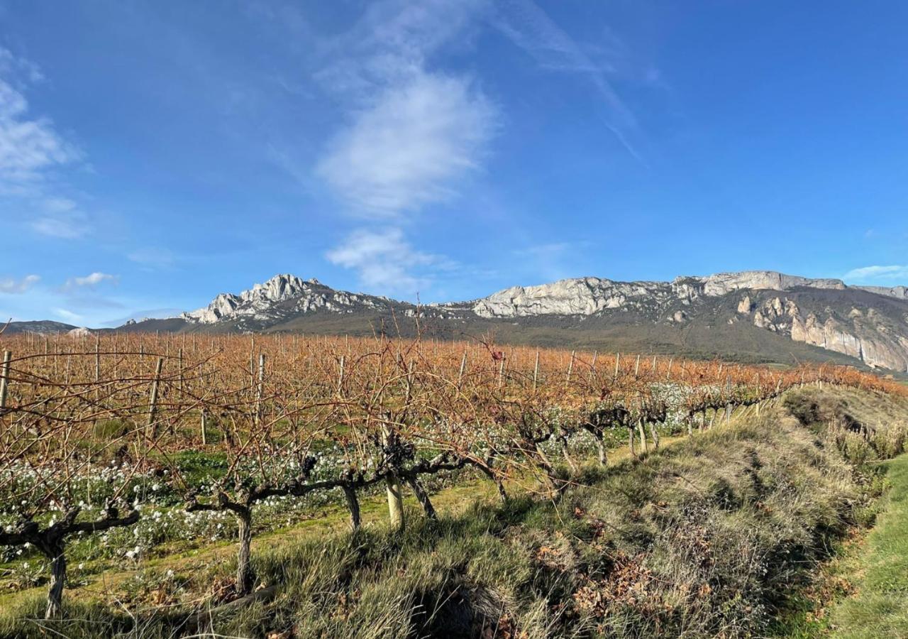 Alojamiento Rural Coliving Sojuela ภายนอก รูปภาพ